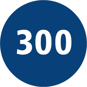 300 icon